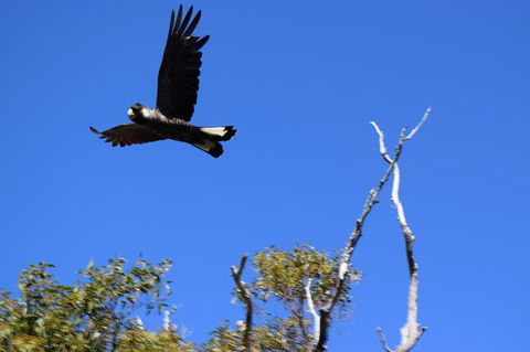Eagle Bay House - Accommodation Main Beach 20