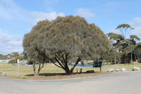 Bircoo Cottage Beach And Golf Getaway - Accommodation Main Beach 12