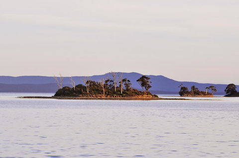 Smugglers Rest Apartments Dover - Accommodation Main Beach 5