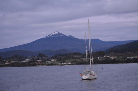 Smugglers Rest Apartments Dover - Accommodation Main Beach 2
