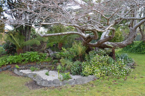 Smugglers Rest Apartments Dover - Accommodation Main Beach 22