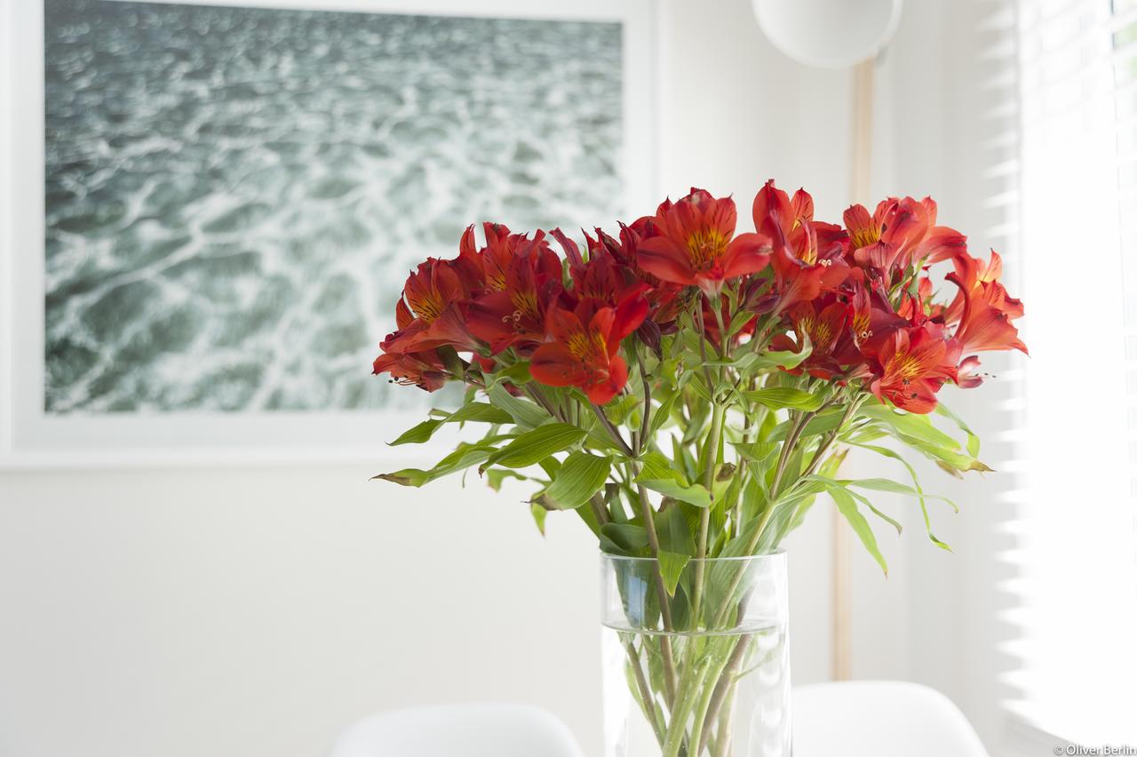 Accommodation Main Beach