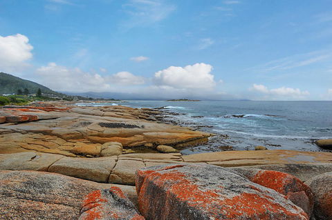 Harvey Farm Lodge - Accommodation Main Beach 2