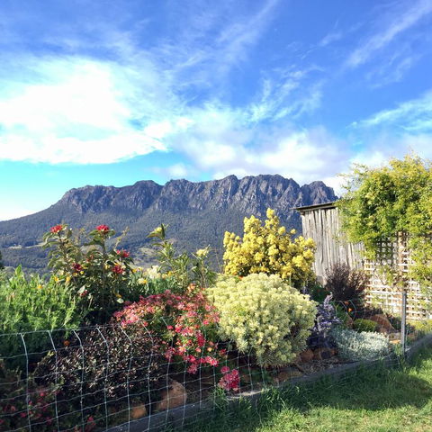 Manna Hill Farm - Accommodation Main Beach 1