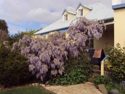 Orford's Sanda House B&B - Accommodation Main Beach 40