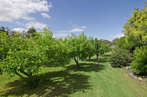 Orford's Sanda House B&B - Accommodation Main Beach 37