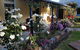 Orford's Sanda House B&B - thumb 5