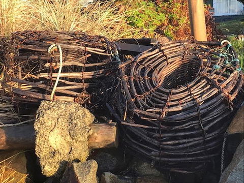 Summertime Cottage - Accommodation Main Beach 4