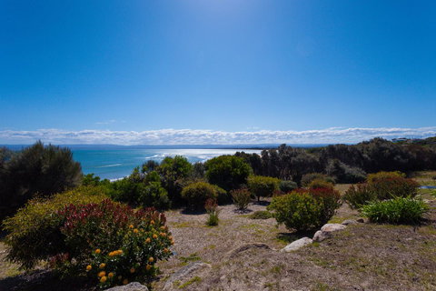 Banksy's By The Bay - Accommodation Main Beach 16