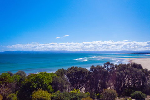 Banksy's By The Bay - Accommodation Main Beach 15