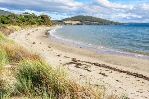 Omaroo Cottage Bruny Island - Accommodation Main Beach 14