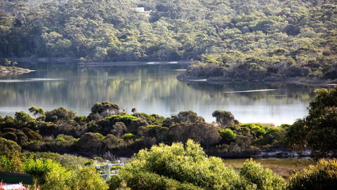 SEA EAGLE COTTAGE Amazing Views Of Bay Of Fires - Accommodation Main Beach 17