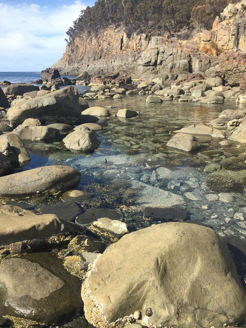 970 Adventure Bay Road - Accommodation Main Beach 2