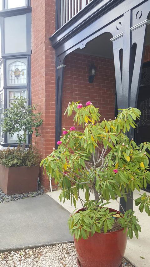 Insomnia On Elizabeth - Accommodation Main Beach 35