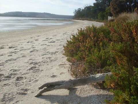 Pipe Clay Cottage - Accommodation Main Beach 35