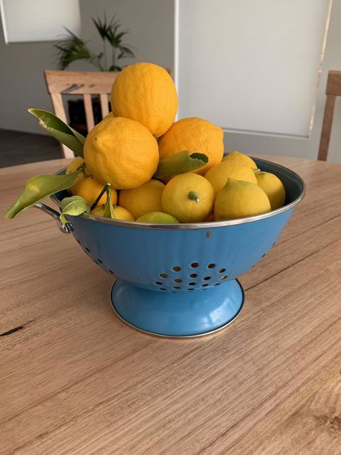 Anchorage Tasmania - Accommodation Main Beach 21