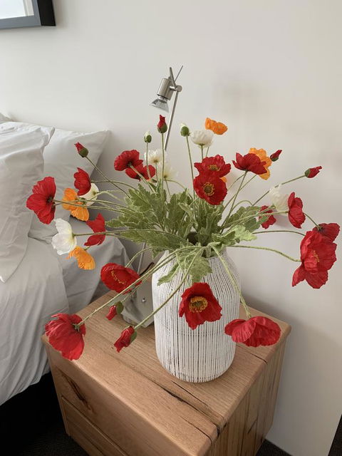 Anchorage Tasmania - Accommodation Main Beach 3