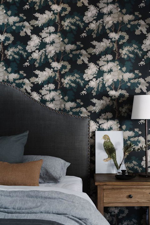 Ship Inn Stanley - Accommodation Main Beach 41