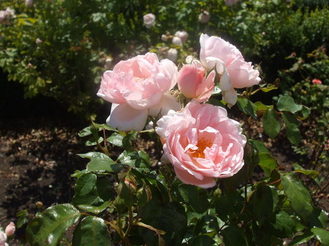 The WeareHouse In Deloraine - Accommodation Main Beach 39