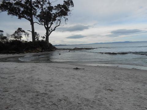 Bruny Ocean Cottage - Accommodation Main Beach 7