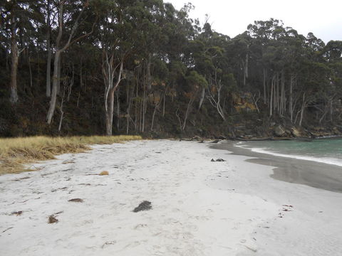 Bruny Ocean Cottage - Accommodation Main Beach 12