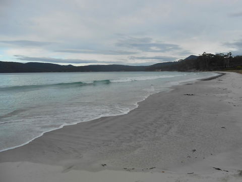 Bruny Ocean Cottage - Accommodation Main Beach 11