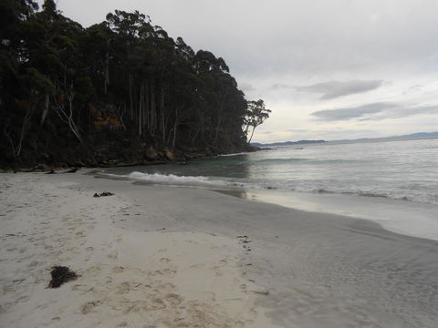 Bruny Ocean Cottage - Accommodation Main Beach 17