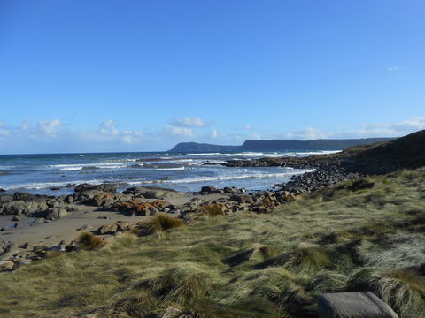 Bruny Ocean Cottage - Accommodation Main Beach 15