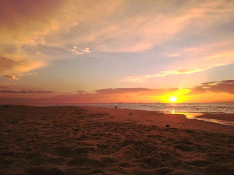 Ocean Beach Backpackers - Accommodation Main Beach 1