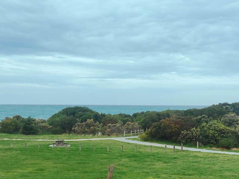 ODYSSEY APOLLO BAY - Accommodation Main Beach 2