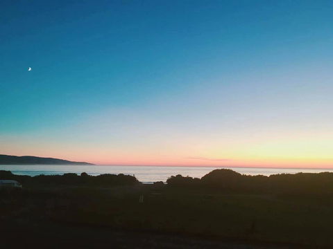 ODYSSEY APOLLO BAY - Accommodation Main Beach 1