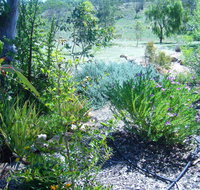 Old Miners' Cottages Bed and Breakfast - Accommodation Main Beach