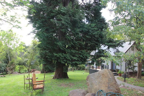 Olinda Country Cottages - Accommodation Main Beach 0