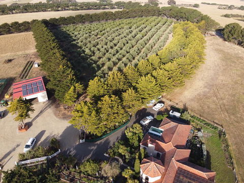OMARU FARM STAY - Accommodation Main Beach 1
