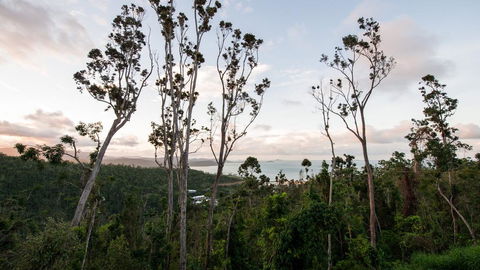 Onestep Airlie Retreat - Accommodation Main Beach 0