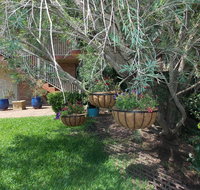 Paradise Apartment - Accommodation Main Beach