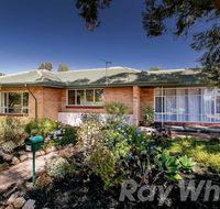 pasadena quinlan - Accommodation Main Beach