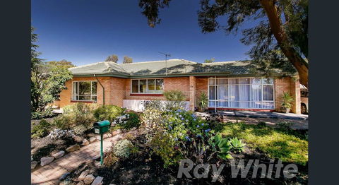 Pasadena Quinlan - Accommodation Main Beach 0