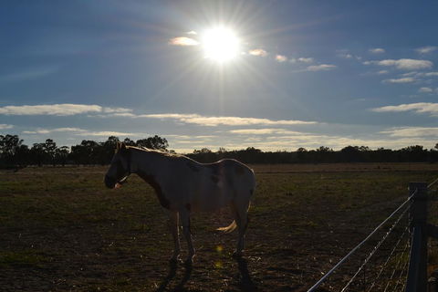 Penny's Place In The Pyrenees - Accommodation Main Beach 1