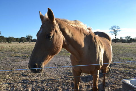 Penny's Place In The Pyrenees - Accommodation Main Beach 0