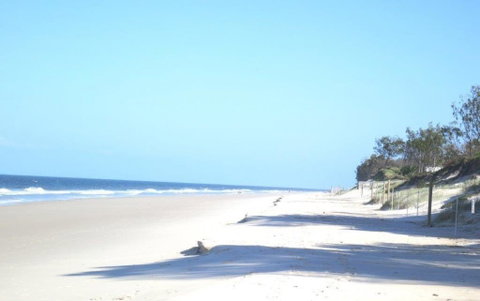 Pet Friendly Home Walking Distance To Surf Beach - North St, Woorim - Accommodation Main Beach 3