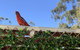 Pinnacle Views - thumb 2