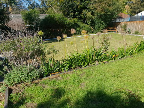 Poppies House - Accommodation Main Beach 1