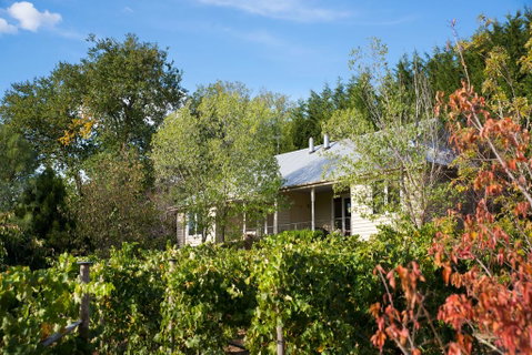 Provence Spa Villa 2 - Accommodation Main Beach 2