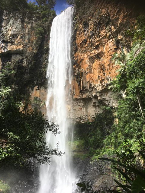 Purling Brook Falls Gwongorella - Accommodation Main Beach 0