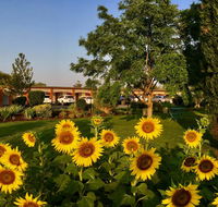 Quirindi Sunflower Motor Inn - Accommodation Main Beach
