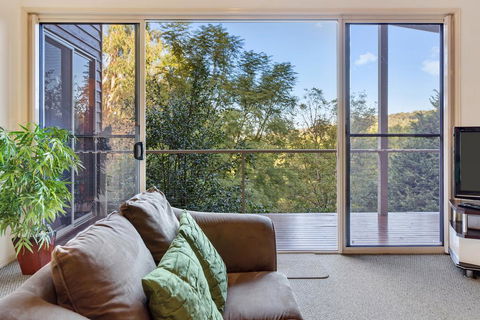 Ravensbourne Escape- Kookaburra Kottage - Accommodation Main Beach 0