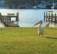 Riverfront Getaway - Mannum - Accommodation Main Beach