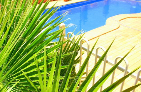 Roma Mid Town Motor Inn - Accommodation Main Beach 2