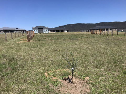 Rosehill Vines - Accommodation Main Beach 3